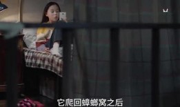 爆料银行小姐姐视频大全,揭秘金融界青春活力